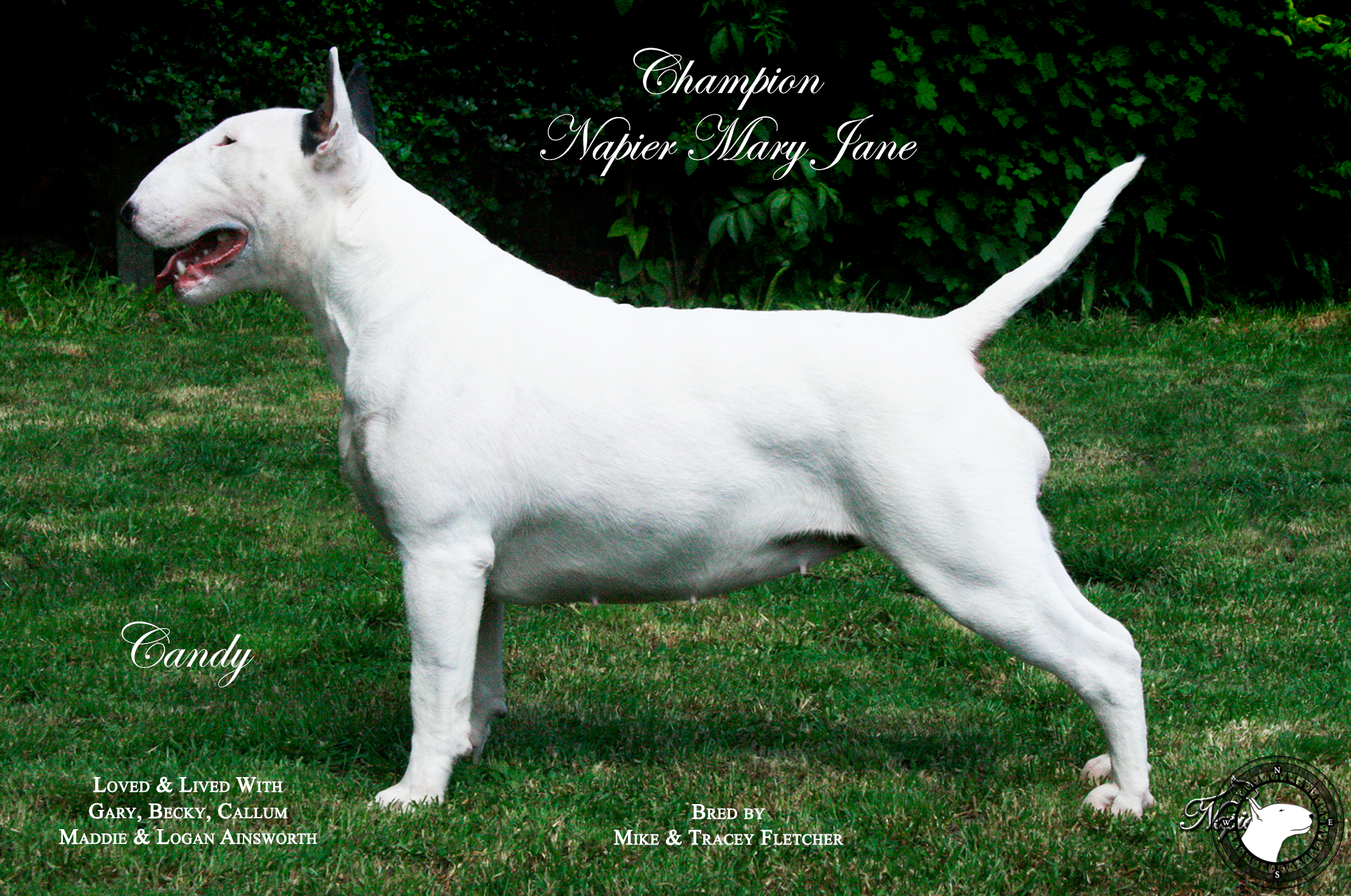 NAPIER MARY JANE